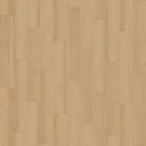 12111-2-scaled