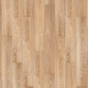 12145-1-scaled