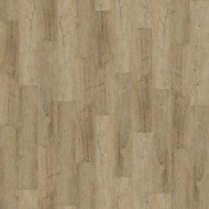 12155-1-scaled